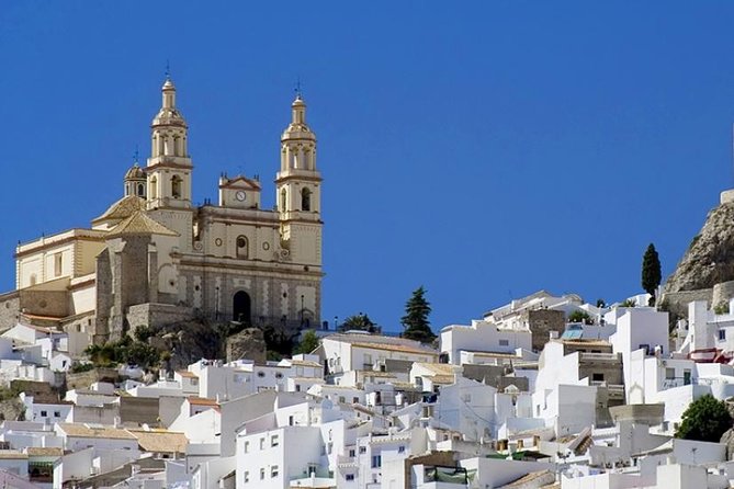 Ronda and White Villages Guided Day Tour from Seville - The Morning Setup: Pickup, Pancho Tours, and Getting on the Road