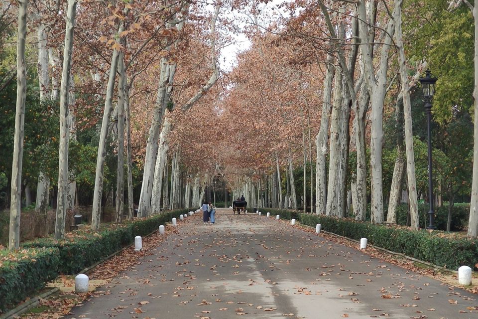 Secrets of Maria Luisa Park and Plaza de Espana - Estanque de los Lotos and the garden design you can actually follow