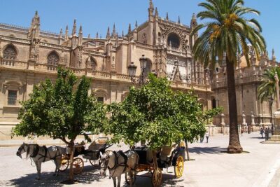 Sevilla: Best Monumental Free Walking Tour - Small-group walk = faster answers, better pace