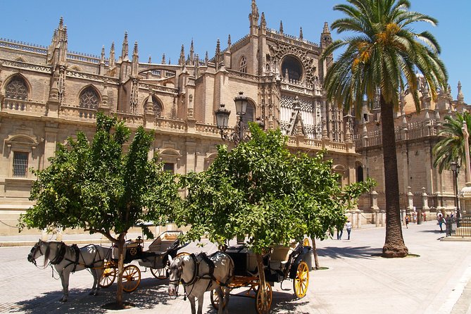 Sevilla: Best Monumental Free Walking Tour - Small-group walk = faster answers, better pace