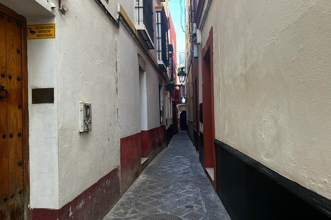 Sevilla: Essential Private Tour - Santa Cruz old Jewish Quarter: narrow lanes with color and life