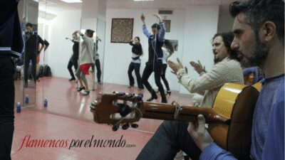 Sevilla : Flamenco Lessons - Dance class basics: compás, palmas, and first steps