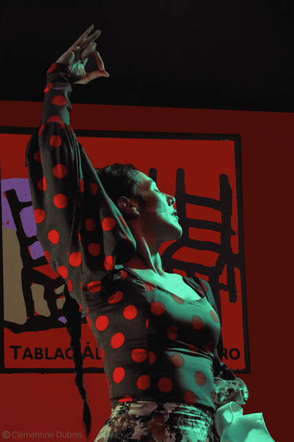 Sevilla: Flamenco Show at Tablao Álvarez Quintero - Key things to notice before you go