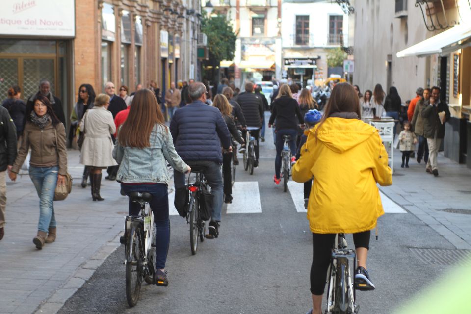 Seville: 1-Day Bike Rental - Quick highlights before you roll out