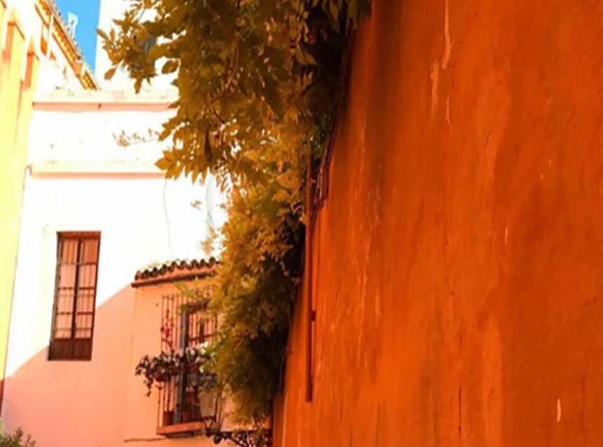 Seville: 1-Hour Walking Tour Barrio de Santa Cruz - FAQ