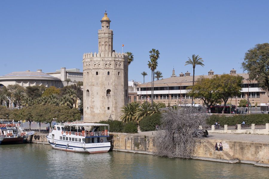 Seville 4-Hour Guided Walking Tour - Plaza Nueva to Seville City Hall: The Civic Heart of the Old Town
