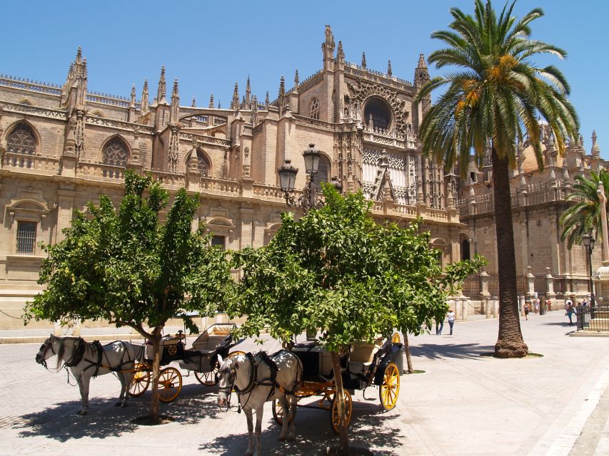Seville: Alcázar Guided Palace Tour with Priority Access - The tour flow: groups, earphones, and what can affect your comfort