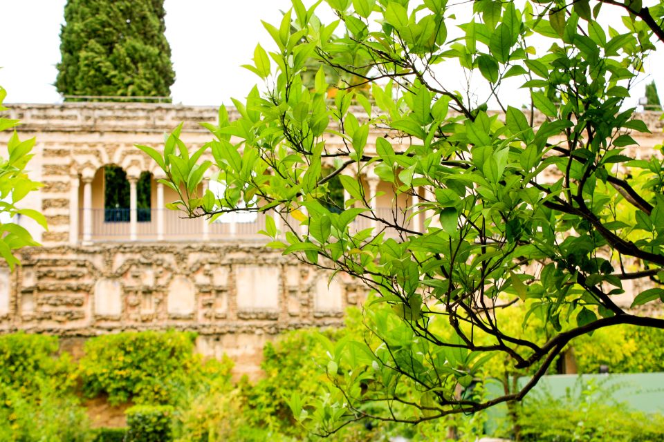 Seville: Alcazar Skip-the-Line Guided Tour with Tickets - The royal chamber isn’t included—so decide what you care about