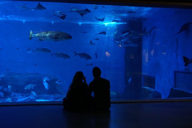Seville Aquarium Admission Ticket - The Five Themed Areas: What Each Section Feels Like