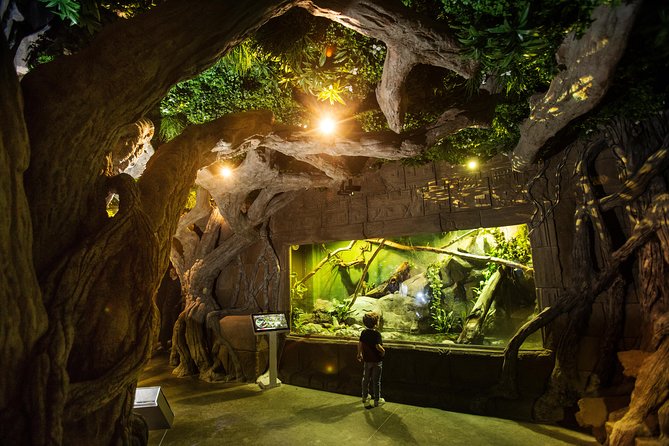 Seville Aquarium Admission Ticket - What You’ll Notice Inside: Layout, Clean Tanks, and Signage That Helps