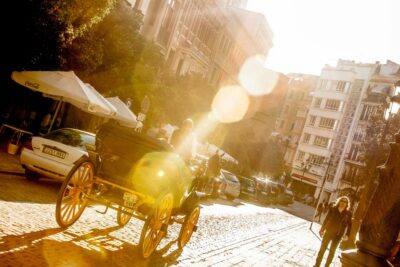 Seville: Authentic and Romantic Horse-Drawn Carriage Ride - Where you’ll ride: Maria Luisa Park, Triana, and the Guadalquivir