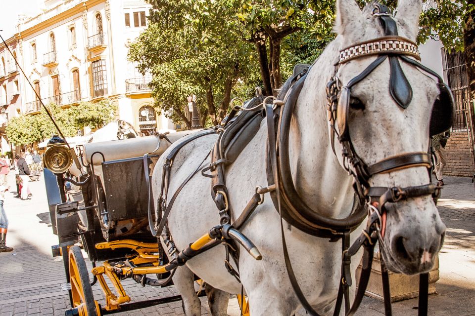 Seville: Authentic and Romantic Horse-Drawn Carriage Ride - Pickup in Seville’s tight streets: how it works in real life