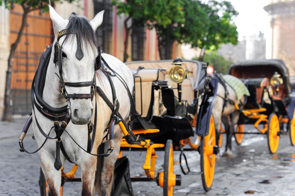 Seville: Authentic and Romantic Horse-Drawn Carriage Ride - Comfort tips that make the ride better