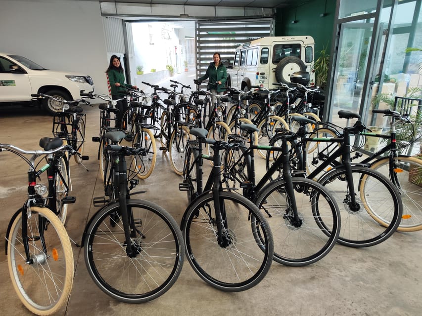 Seville: Bike Rental - Pickup and drop-off: making the logistics painless