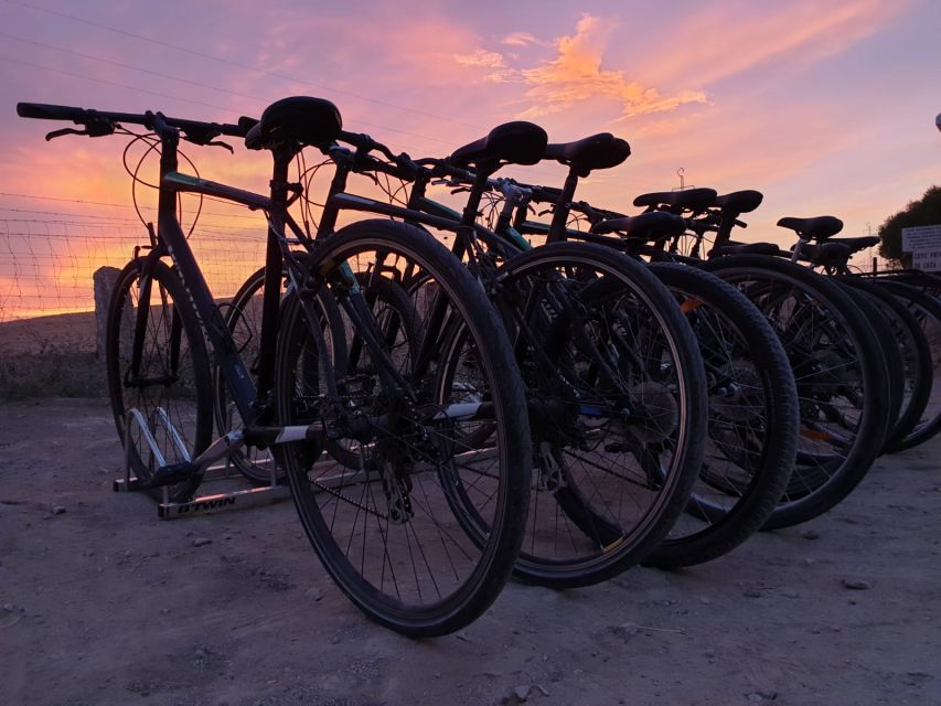 Seville: Bike Rental - Choosing the right bike: styles, sizes, and a safety check