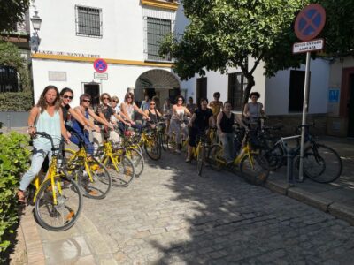 Seville: Bike Rental for a Day - Seville on a rental bike: bike lanes and a leisurely pace