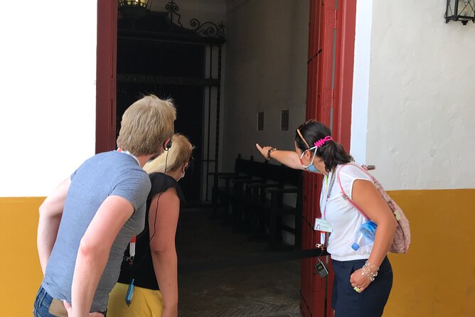 Seville Bullring: Guided Tour with Direct Entry - Seville Bullring in 60 Minutes: What the Tour Actually Feels Like