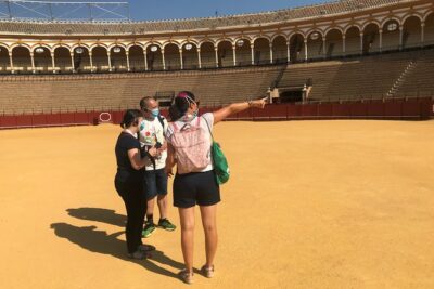 Seville Bullring: Guided Tour with Direct Entry - Getting In With Direct Entry (and Why It’s Worth It)