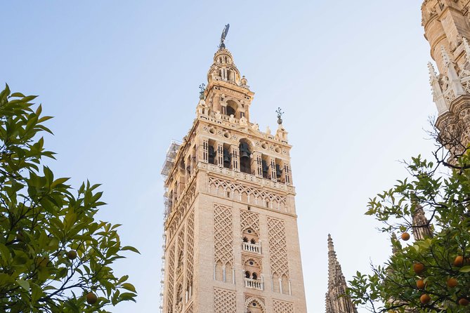 Seville Cathedral and the Giralda skip the line private tour - Price and Value: When $189.89 per Group Makes Sense