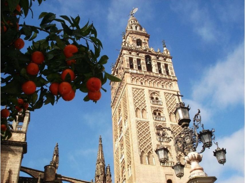Seville Cathedral Skip-the-Line Tour - What you’ll notice once the tour starts moving