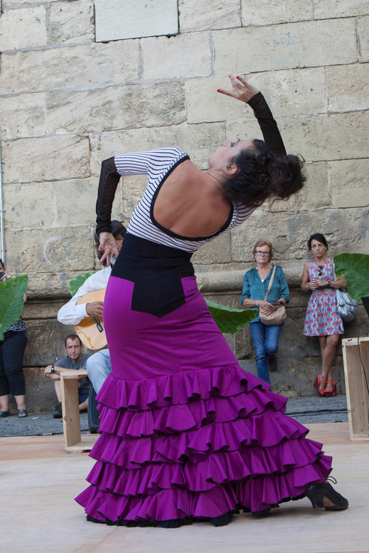 Seville: Enjoy a class of approach to flamenco - Flamenco in Seville, Up Close and In Your Body