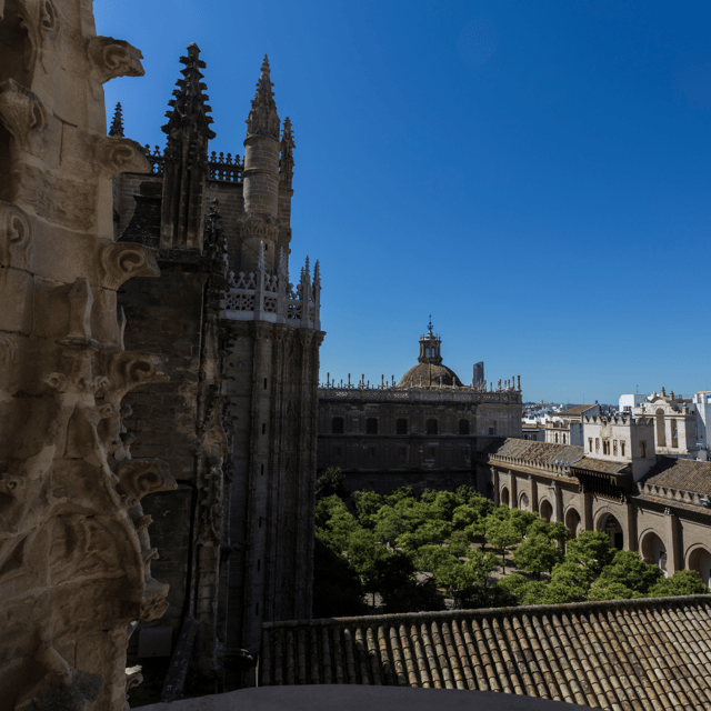 Seville: Fast Track Cathedral Giralda Tower Last minute Tour - The Giralda Tower climb: the city views come fast, but plan for ramps