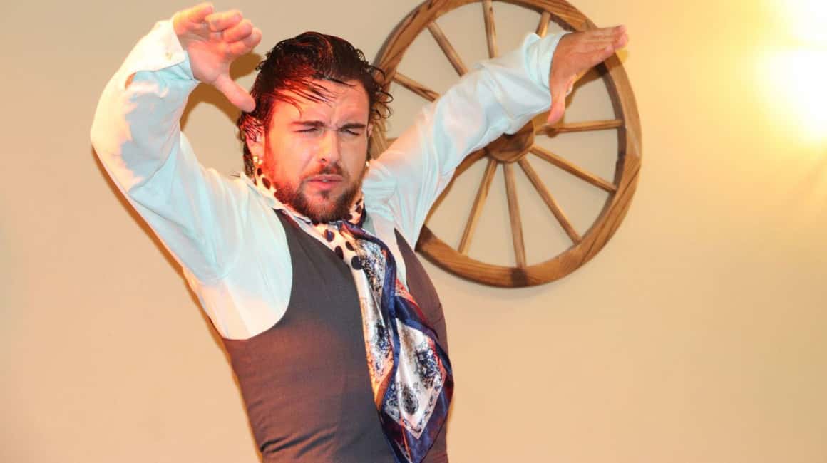Seville: Flamenco Show at Tablao La Cantaora - Who This Flamenco Show Fits Best