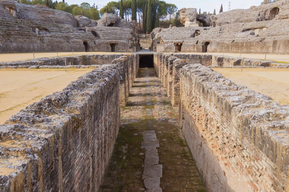 Seville: Game of Thrones and Roman Empire Italica Tour - Domus de Neptuno: life, design, and story in stone