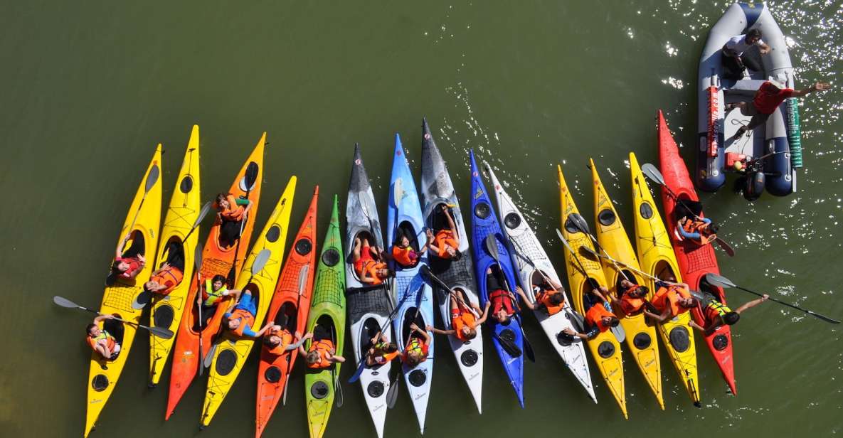 Seville: Guadalquivir River Kayak Tour or Kayak Rental - The 1.5-Hour River Rhythm: From Briefing to Main Paddle