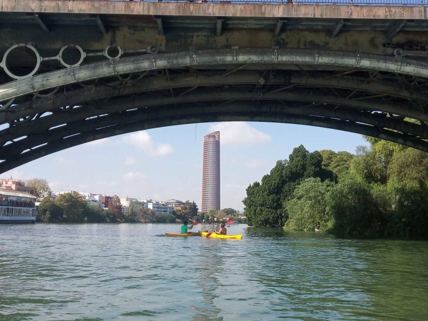 Seville: Guadalquivir River Kayaking Trip - On the Water: How the Route Works and What You’ll Likely See