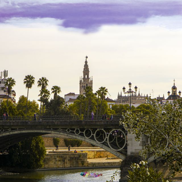 Seville: Guided Walking Tour with Optional Breakfast - Antigua Fábrica de Tabacos: a quick stop with big historical weight