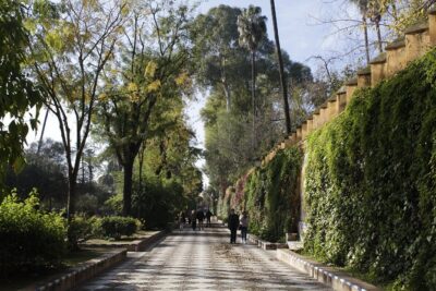 Seville Highlights: Private Family Guided Tour - Barrio Santa Cruz: old streets, plazas with flowers, and calmer corners