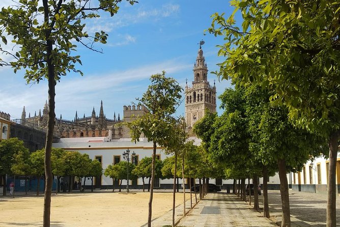 Seville Highlights Private Walking Tour - From Plaza Virgen de los Reyes to Maria Luisa Park: what this walk actually feels like