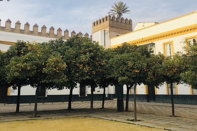 Seville Highlights Private Walking Tour - How the guide turns streets into stories (and not just facts)