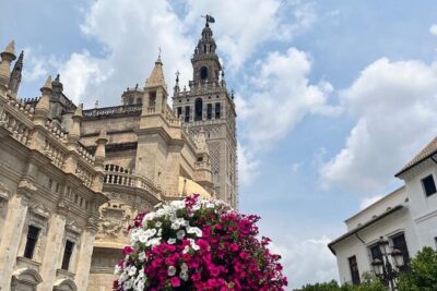 Seville Highlights Private Walking Tour - What you see along the way: Cathedral, Giralda, and the Royal Alcázar viewpoints