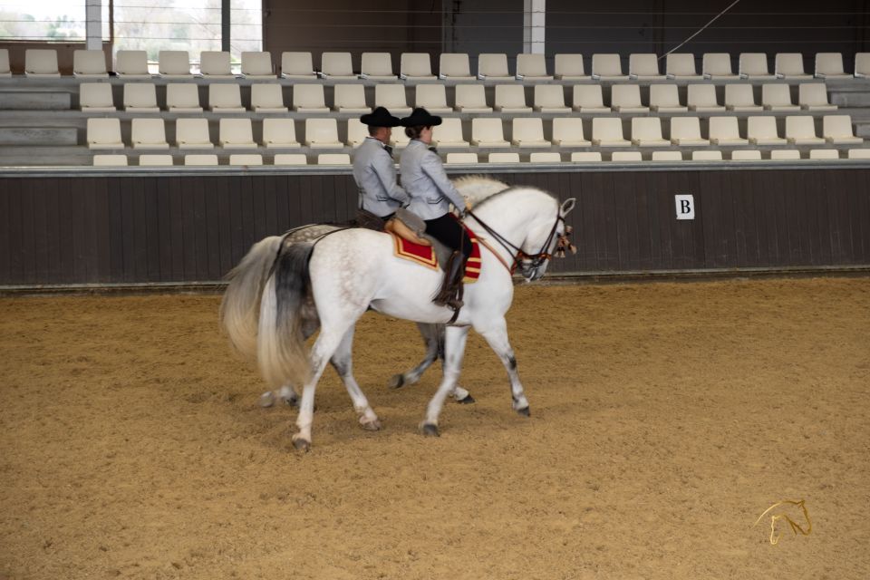 Seville: Horse's Show Entry Ticket. Optional Stud Farm Visit - Yeguada Torreluna ticket basics in Seville: show-only vs. the full experience