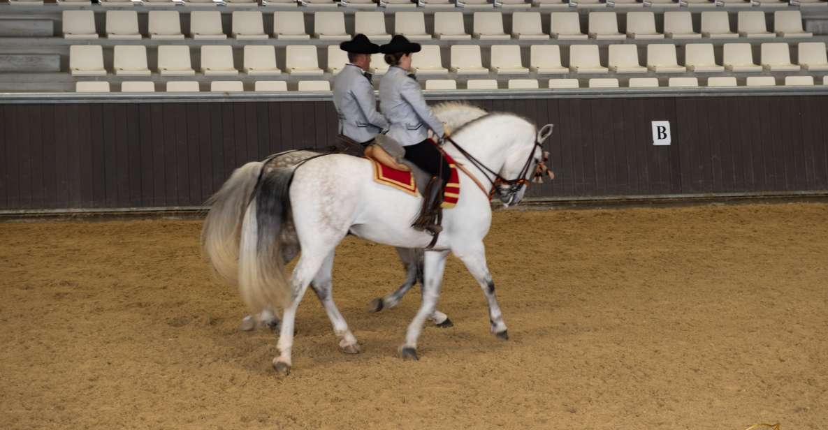 Seville: Horse's Show Entry Ticket. Optional Stud Farm Visit - Story of a Champion: seven stops that connect human values to horse training