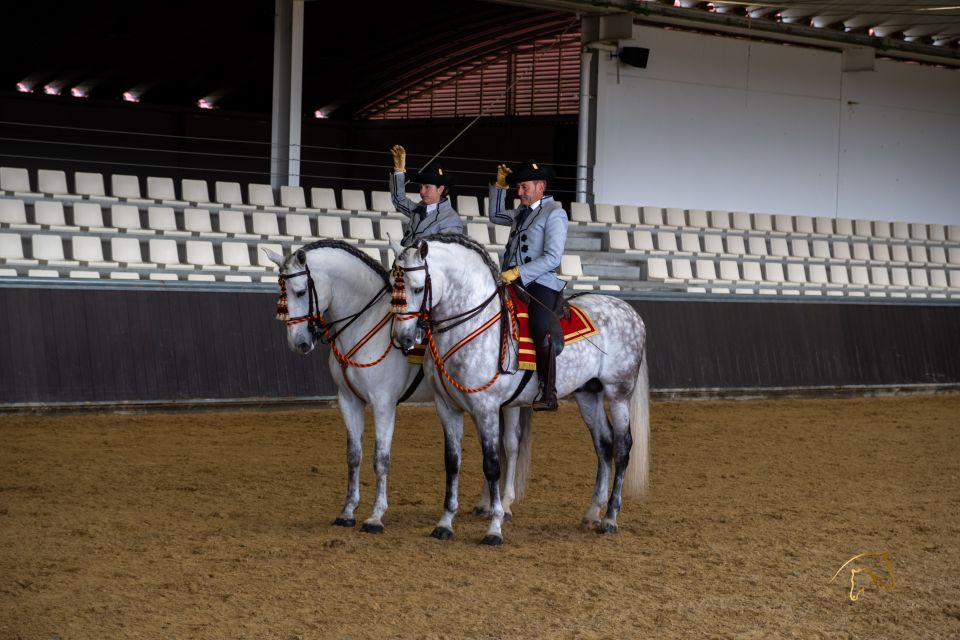 Seville: Horse's Show Entry Ticket. Optional Stud Farm Visit - Stud farm time and the World Champion purebred Spanish horses