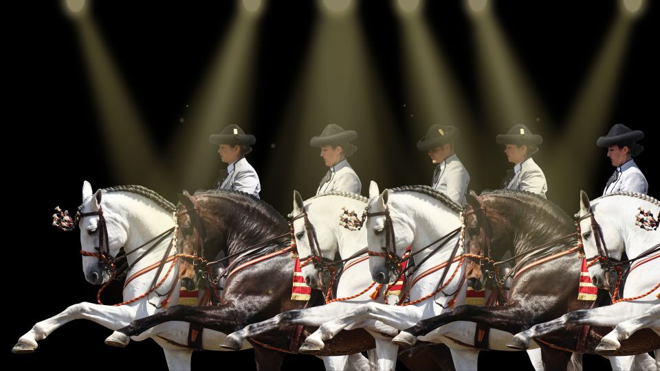 Seville: Horse's Show Entry Ticket. Optional Stud Farm Visit - Timing that actually works: 45 minutes to 2 hours