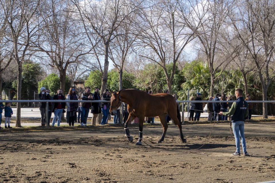 Seville: Horse's Show Entry Ticket. Optional Stud Farm Visit - Price and value: what $35 buys you, and what can raise the total cost