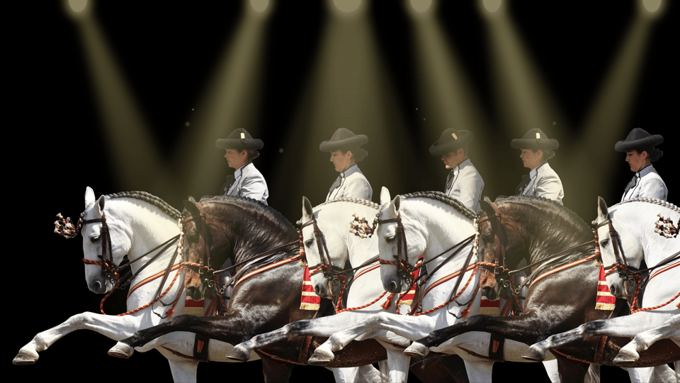 Seville: Horse's Show Entry Ticket. Optional Stud Farm Visit - Languages and guide feel: English, Spanish, French, German