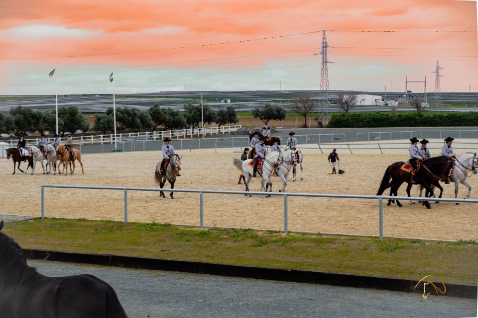 Seville: Horse's Show Entry Ticket. Optional Stud Farm Visit - What you’re watching: the TRADITIONS horse show