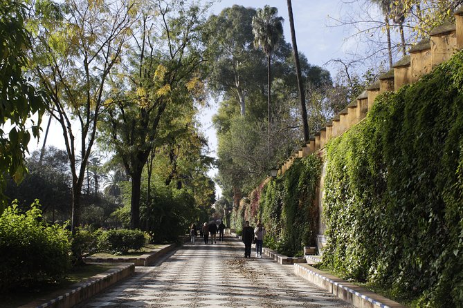 Seville in one day - Iglesia del Salvador and the busy square feel