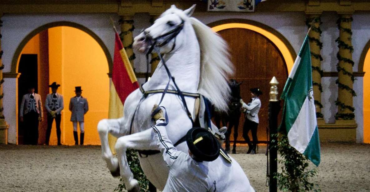 Seville: Jerez, Cadiz Wine Tasting with Optional Horse Show - Key Highlights You Should Actually Care About
