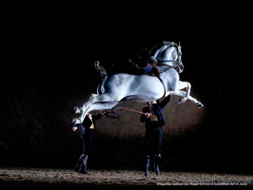 Seville: Jerez, Cadiz Wine Tasting with Optional Horse Show - The 10-Hour Puzzle: Where Your Time Actually Goes