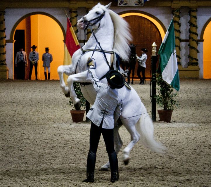 Seville: Jerez, Cadiz Wine Tasting with Optional Horse Show - How Guides Shape the Sherry and the Streets