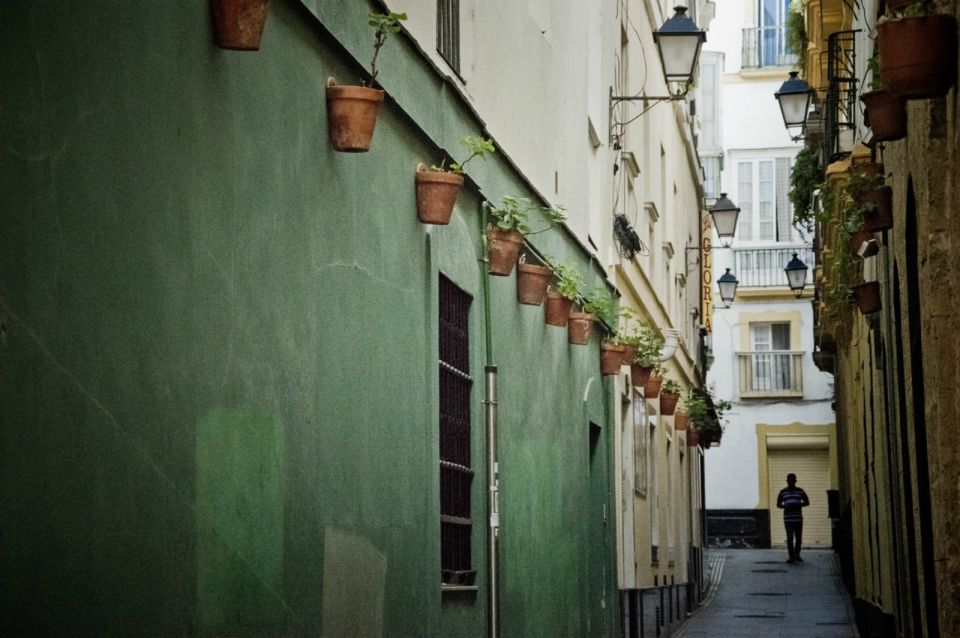 Seville: Jerez, Cadiz Wine Tasting with Optional Horse Show - Practical Tips So Your Day Runs Smooth
