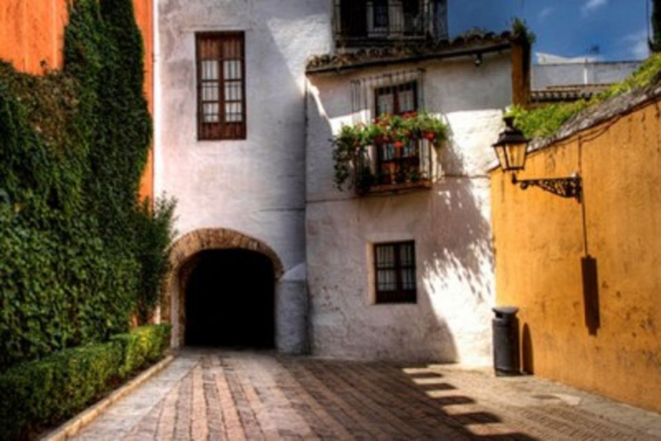 Seville Jewish Heritage Tour - Key Highlights You’ll Feel on the Walk