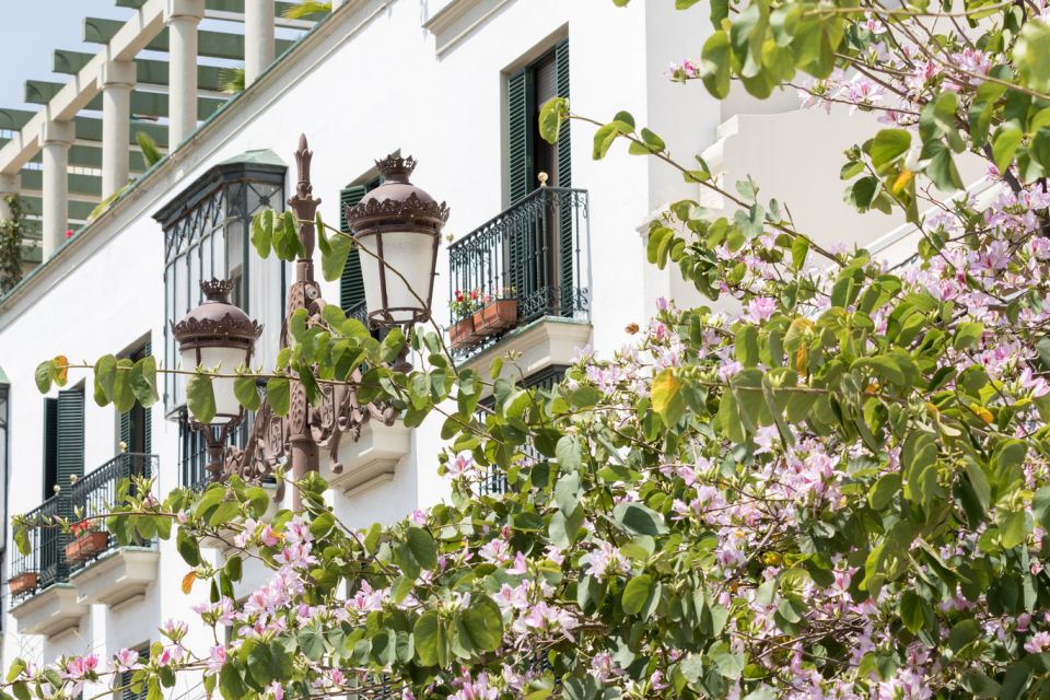 Seville Jewish Quarter walking tour: Santa Cruz District - Callejón del Agua and the sound of whispers