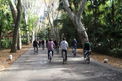 Seville: María Luisa Gardens 3–Hour Tour with Picnic Lunch - Getting Oriented at Centerbici (and Why the Bike Adds Value)